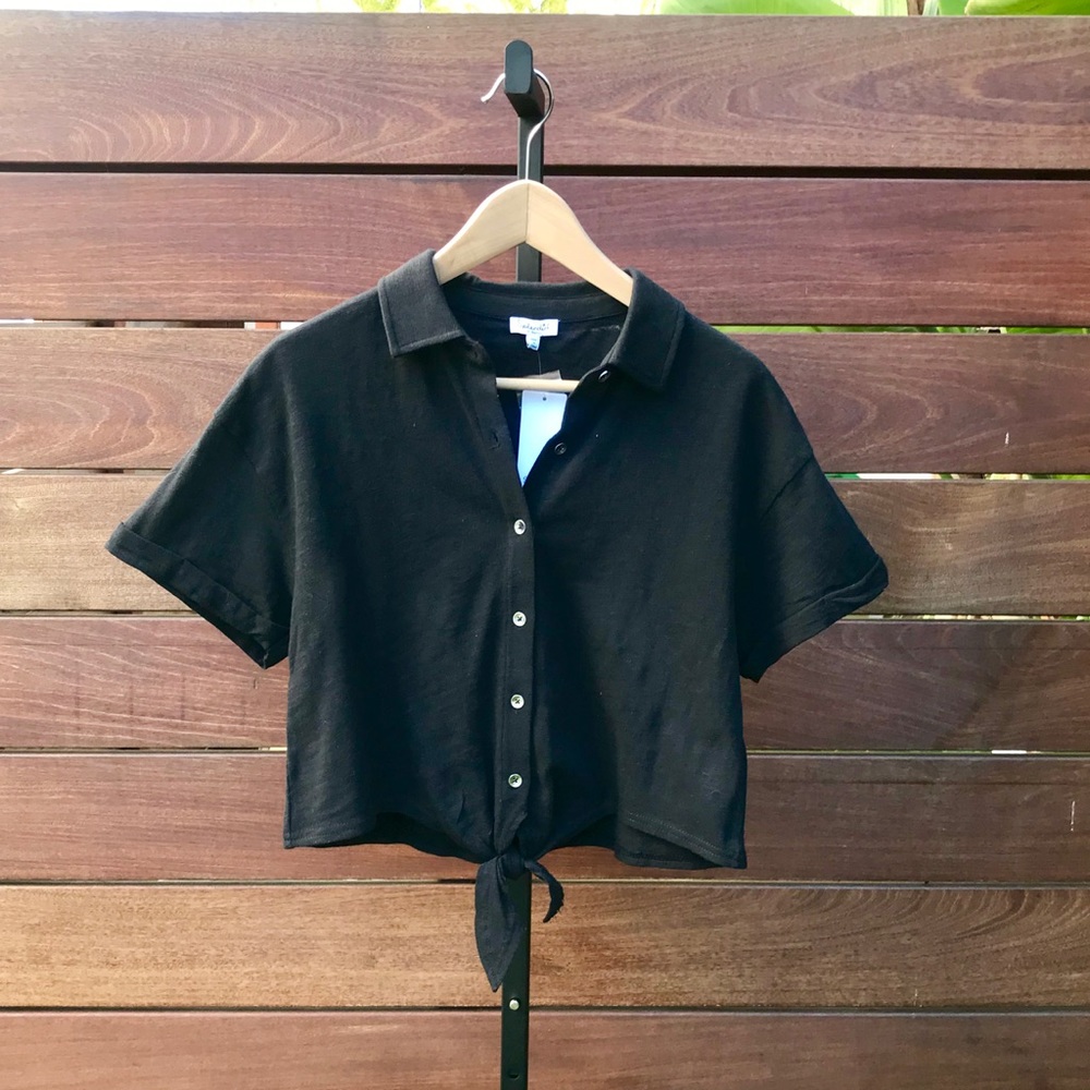 Slendid Short Sleeve Button Down in Black